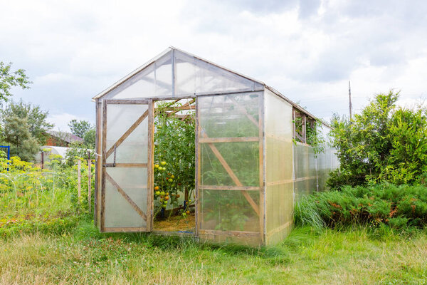 Wooden greenhouse with polycarbonate in the garden. Triangular roof.