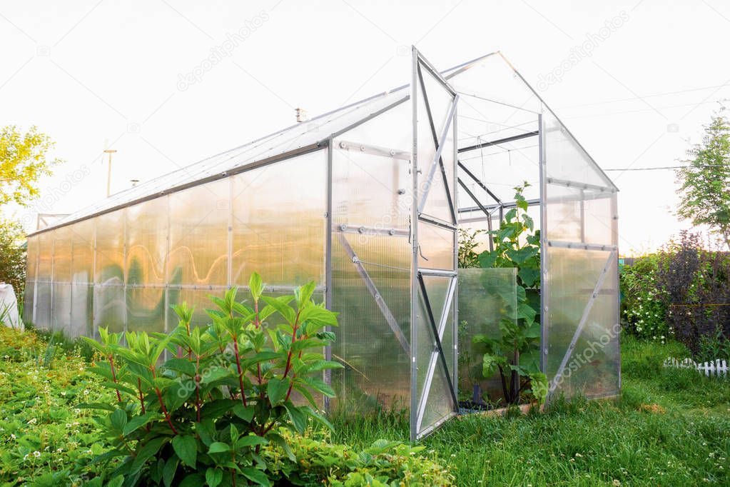 Polycarbonate greenhouse in the garden. Triangular roof.