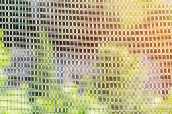Moustiquaire Sur Fenêtre Protection Contre Les Insectes Contexte — Photo