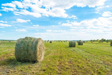 Samanlıkta sahada. Hayfield. Güzel manzara