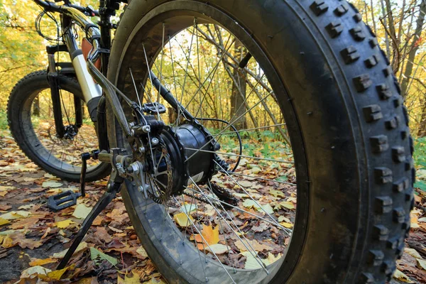 Bike with electric motor and thick wheels in the autumn forest. Sports hobby.