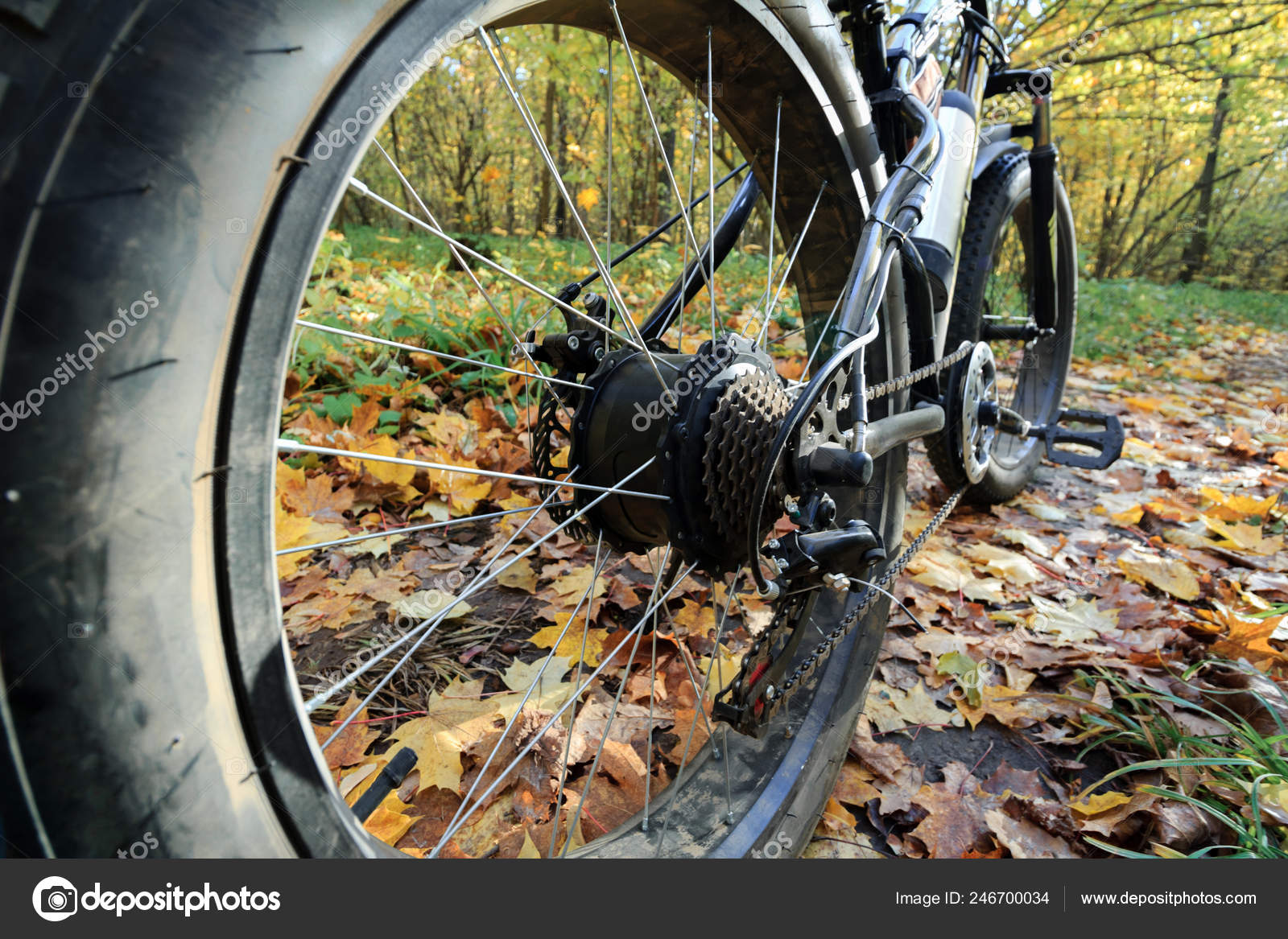bike with thick wheels