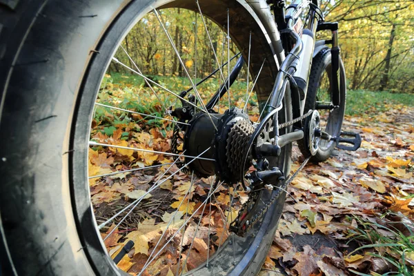 Elektrik motoru ve sonbahar ormanın içinde kalın tekerlekleri ile bisiklet. Spor hobi.