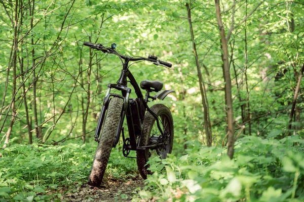 Χοντρό Ποδήλατο Ένα Μονοπάτι Στο Δάσος Αθλητικά Χόμπι Για Την — Φωτογραφία Αρχείου