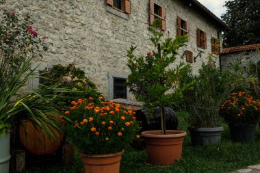 Eski bir ev olduğu çiçek tencere