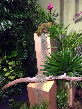 Bitkilerle ahşap kompozisyon. yaprakları ile yaz fikirler kavramı. İç dekorasyon tesisleri