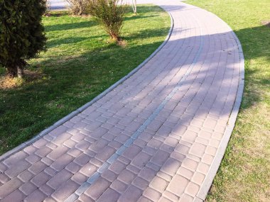 Sokak, parktaki yol. Yeşil ağaç yaprakları. Yol, yol, çim ile doğa açık manzara. Yaz veya sonbaharda ormanda güzel bir gün. Parlak arka plan. Ahşap patika