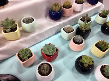 Seramik Sulu Saksı, Kaktüs Ekici Saksı Bitki Konteyner Saksı. Sevimli Küçük Beyaz Seramik Sulu. Farklı şekillerde çiçek kapları. Seramik Sulu Ekici Kapları, Kaktüs Ekicileri