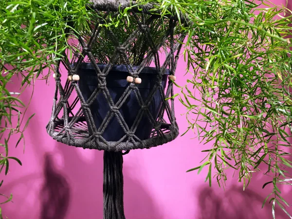 Pembe bir arka plan üzerinde dekoratif bir saksı bitki. İplik bir saksı için Çerçeve. Macrame Bitki Askı Desenlerherhangi bir Rustik veya Modern Uzay süslemek için. Trendy asılı tencere