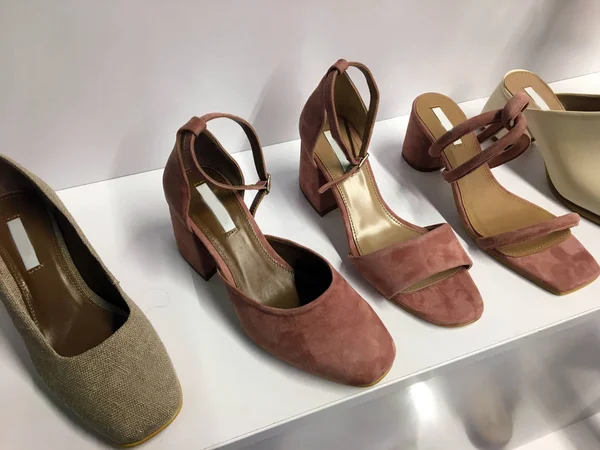 Raccolta Scarpe Ripiani Scarpe Donna Alla Moda Con Tacchi Diverse — Foto Stock