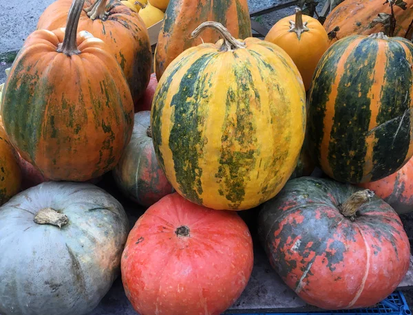 Složení Syrovou Organickou Zeleninou Tmavé Pozadí Dřevěná Textura Jasné Podzimní — Stock fotografie