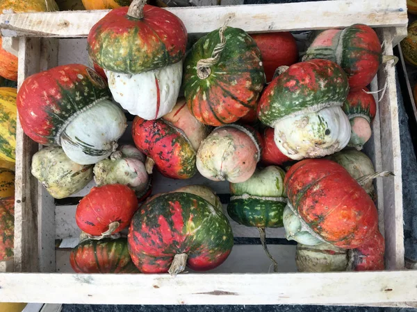 Composición Con Una Variedad Verduras Orgánicas Crudas Fondo Oscuro Textura — Foto de Stock