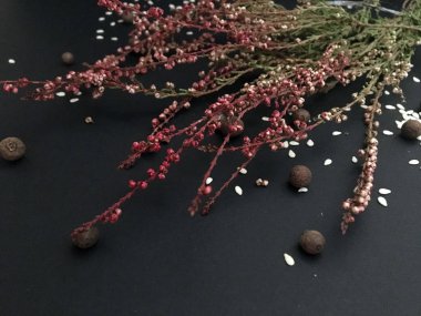 Siyah arka planda şifalı bitkiler. Bitkisel ilaçlar. Üst manzara, düz yatış. Uzayı metin için kopyala. Çiğ organik karabiber. Çeşitli baharatlar. Susam ve biber çekirdeği. Yiyecek konsepti