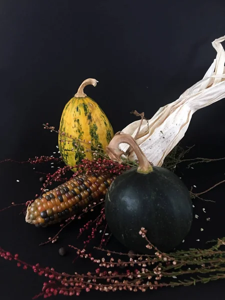 Autumn composition with small decorative pumpkins, bunches of healing herbs and decorative corn on black background. Autumn holiday, fall, thanksgiving, Halloween concept.