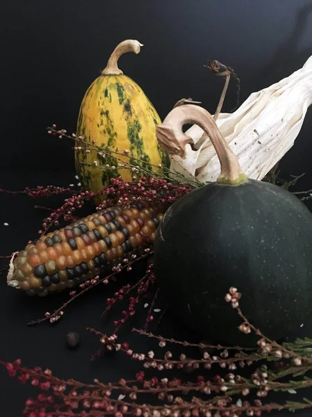 Podzimní Kompozice Malými Dekorativními Dýněmi Svazky Léčivých Bylin Dekorativní Kukuřicí — Stock fotografie