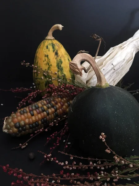 Autumn composition with small decorative pumpkins, bunches of healing herbs and decorative corn on black background. Autumn holiday, fall, thanksgiving, Halloween concept.