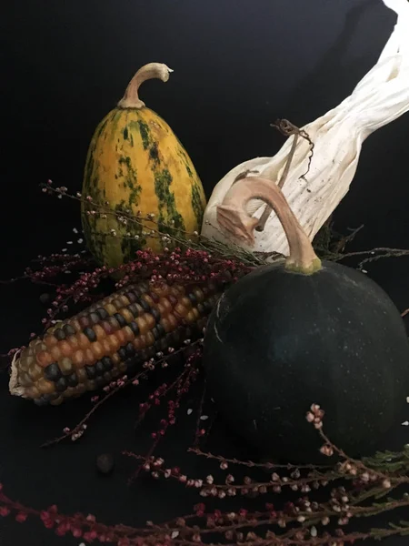 Podzimní Kompozice Malými Dekorativními Dýněmi Svazky Léčivých Bylin Dekorativní Kukuřicí — Stock fotografie