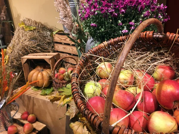 Composición Otoñal Con Canasta Mimbre Llena Hermosas Manzanas Frescas Crujientes — Foto de Stock