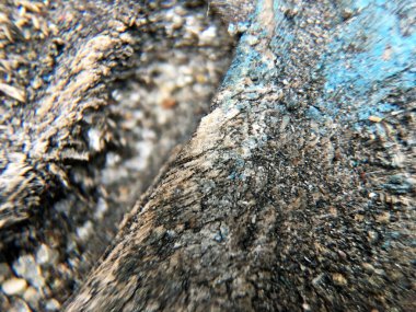 Eski ahşap dokuyu doğal desenlerle kapatın. Doğa ağaç kabuğu ve detaylar. Eski, kaba, kahverengi, doğal ahşap soyut arka plan. Kereste malzemesi. Yüzeyde yosun ve rahatlama. Taş dokusu. 