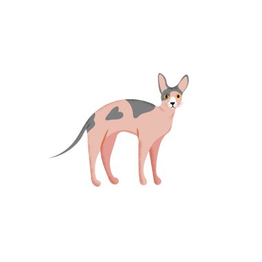Vektör çizim. Kedi sevimli karakter karikatür tarzı. Simge sphynx doğurmak için farklı tasarım. 