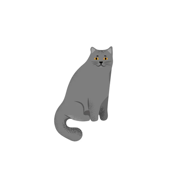 Ilustracja Wektorowa Styl Kreskówki Znak Ładny Kot Ikona Rasy Brytyjski — Wektor stockowy