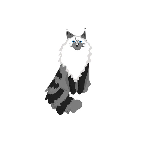 일러스트입니다 고양이의 귀여운 캐릭터 스타일입니다 디자인에 Coon 품종의 아이콘 — 스톡 벡터