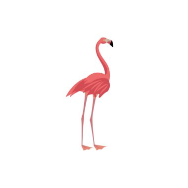 Flamingo Karikatür tarzı simgesi. Vektör çizimi. 