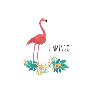 Flamingo Karikatür tarzı simgesi. Vektör çizimi. 
