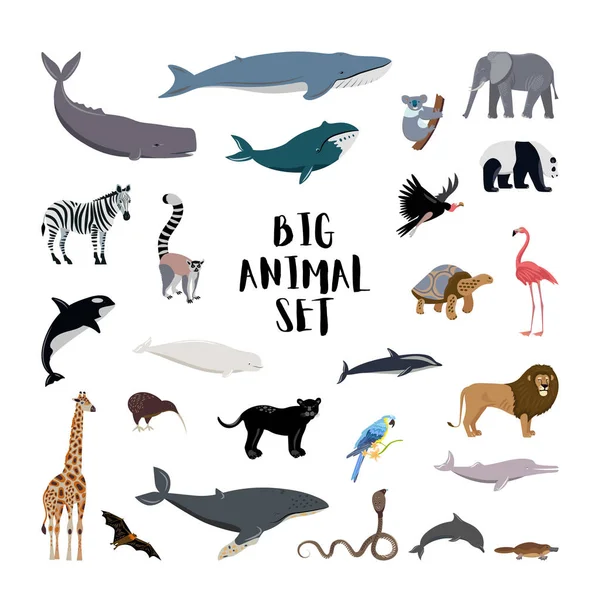 Conjunto Animales Ilustración Vectorial — Vector de stock