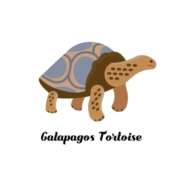 Galapagos Kaplumbağakarikatür Tarzı Simgesi Vektör Çizimi — Stok Vektör