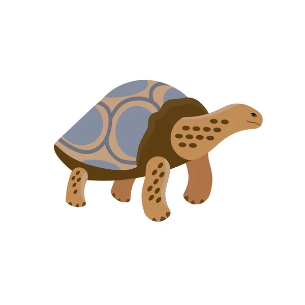 Icono Estilo Dibujos Animados Tortuga Galápagos Ilustración Vectorial — Archivo Imágenes Vectoriales