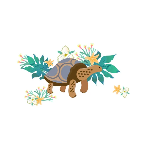 Icono Estilo Dibujos Animados Tortuga Galápagos Ilustración Vectorial — Vector de stock