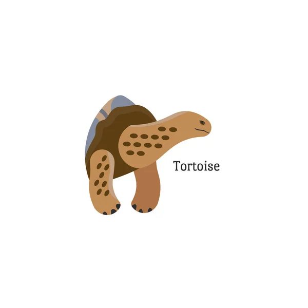 Icono Estilo Dibujos Animados Tortuga Galápagos Ilustración Vectorial — Archivo Imágenes Vectoriales