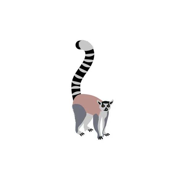 Karikatúra Stílus Ikonja Lemur Vektoros Illusztráció — Stock Vector