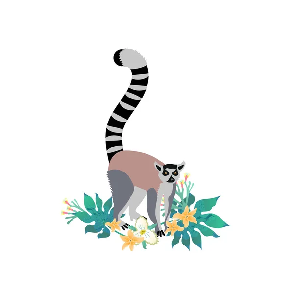 Cartoon Stijlicoon Van Lemur Vector Illustratie — Stockvector