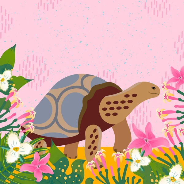 Tortuga Galápagos Ilustración Vectorial — Vector de stock