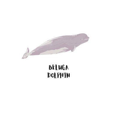 Beyaz arka planda izole Beluga