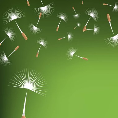 yeşil arka plan üzerinde blowballs, kopya alanı