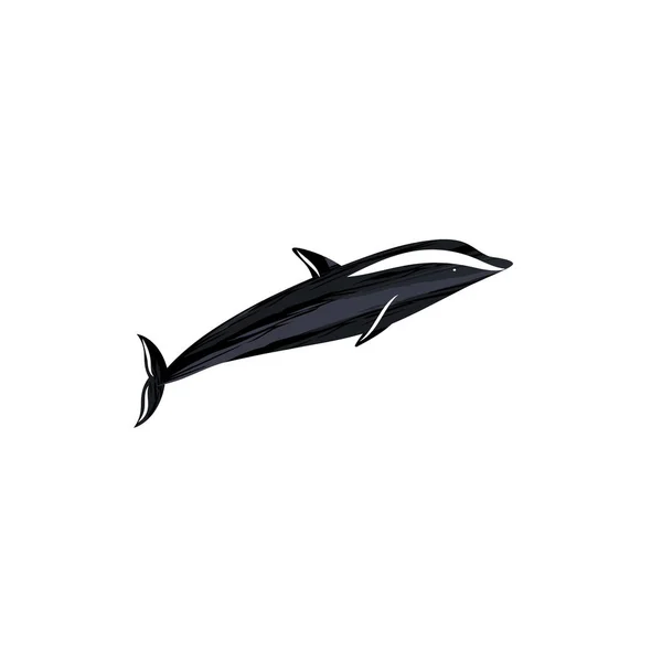 Atlantischer Weißer Einseitiger Delfin Isoliert Auf Weißem Hintergrund — Stockvektor