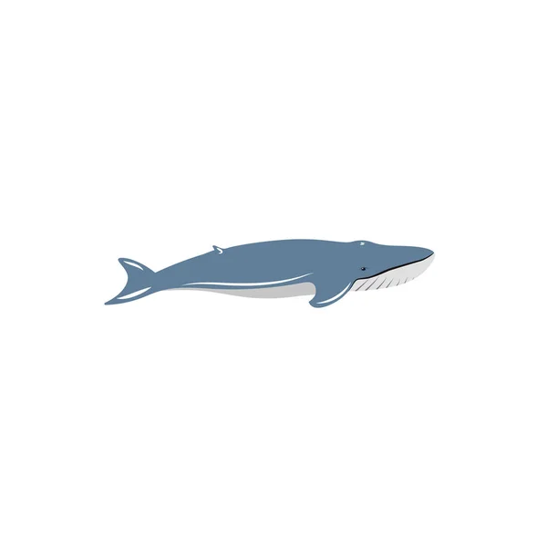 Blue Whale Isolated White Background — Stock Vector