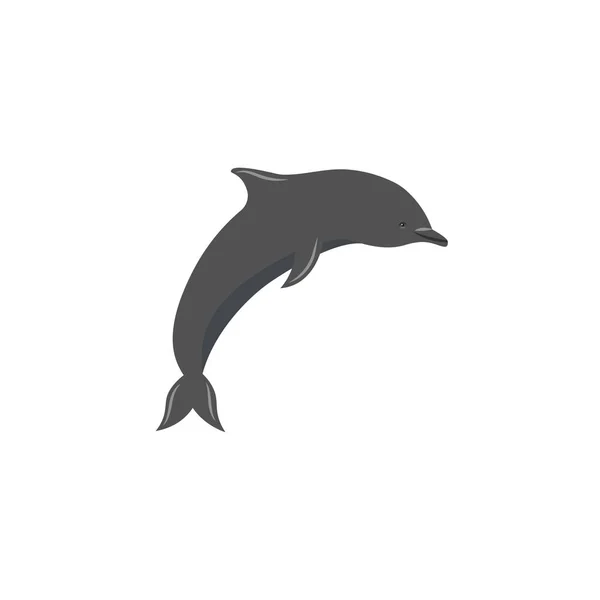 Delfin Isolerad Vit Bakgrund — Stock vektor