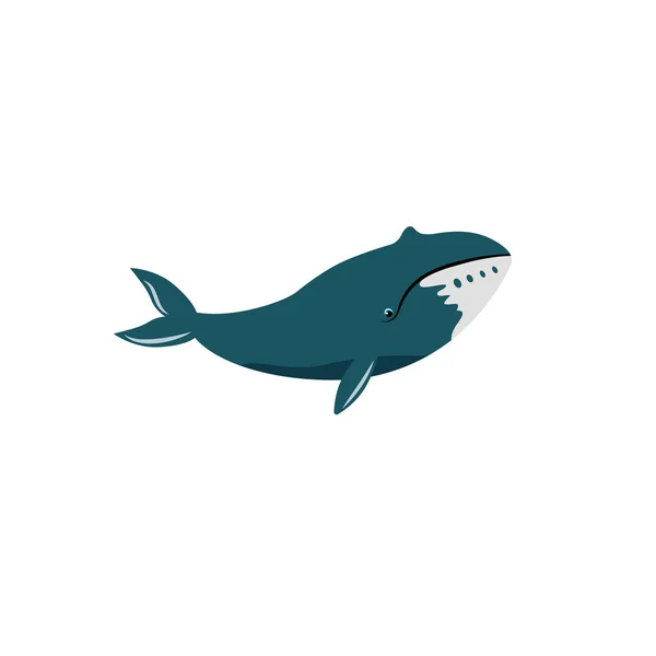 Baleine Boréale Isolée Sur Fond Blanc — Image vectorielle