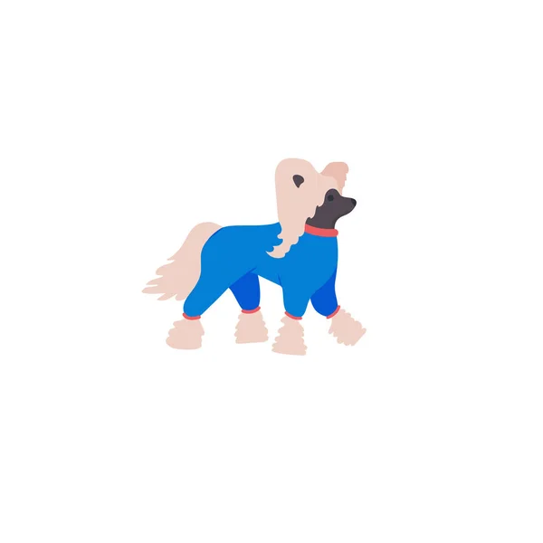 Perro Cresta Chino Aislado Sobre Fondo Blanco — Vector de stock