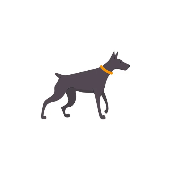 白い背景に隔離されたドーベルマンピンシャー犬 — ストックベクタ