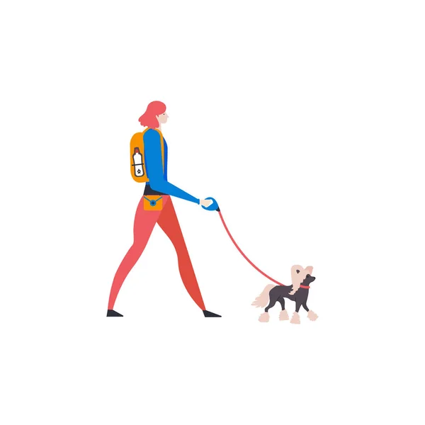 白い背景に隔離された犬を持つ歩行者 — ストックベクタ