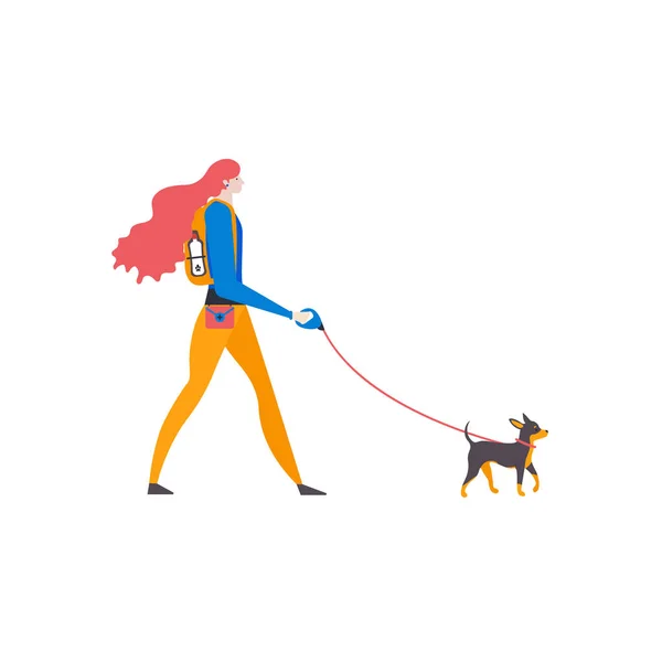 与狗隔离在白色背景的散步者 女孩和玩具狗 — 图库矢量图片