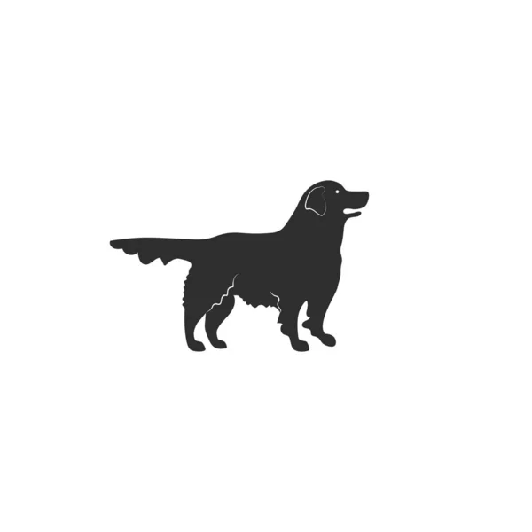 Golden Retriever Hund Isolerad Vit Bakgrund — Stock vektor
