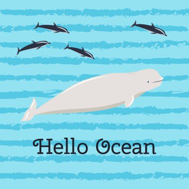 merhaba okyanus, beluga ile renkli afiş