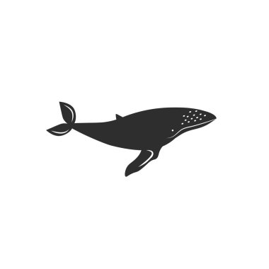 Beyaz arka planda izole kambur balina