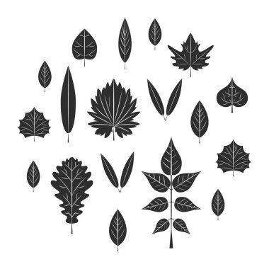 Beyaz arkaplanda izole edilmiş renkli yapraklar